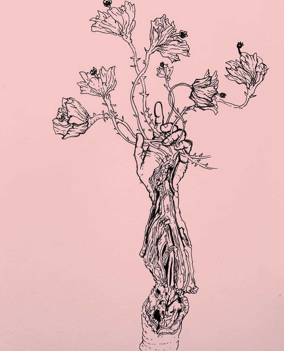 Artwork by Nicole Marta